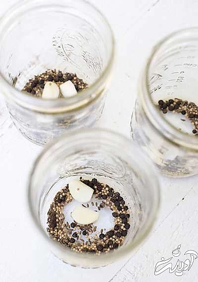 این ترشیهای هیجان انگیز این ترشیهای هیجان انگیز